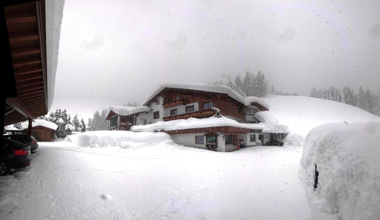 Ferienwohnung Saalbach Файбербрун Екстериор снимка